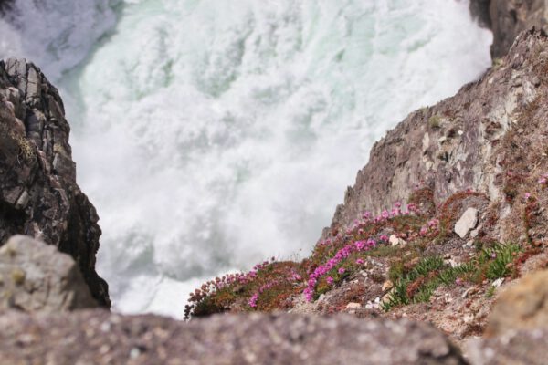 20220610152000_IMG_3050