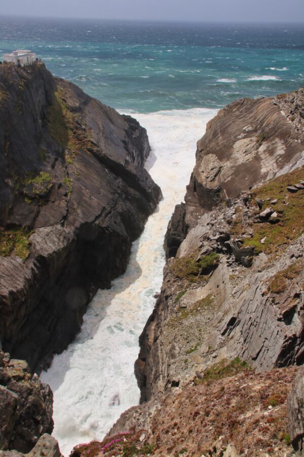 20220610152125_IMG_3055