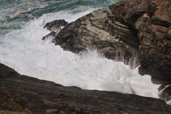 20220610154507_IMG_3086