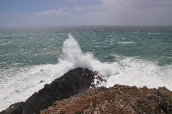 20220610154653_IMG_3093