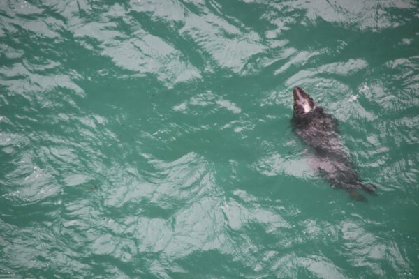 20220610155642_IMG_3103