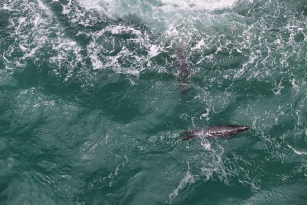 20220610155846_IMG_3106