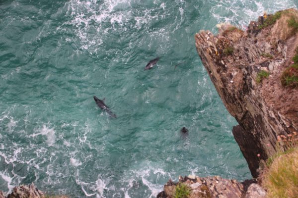 20220610160126_IMG_3116 (1)