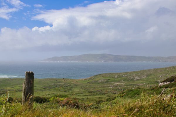 20220610170611_IMG_3134