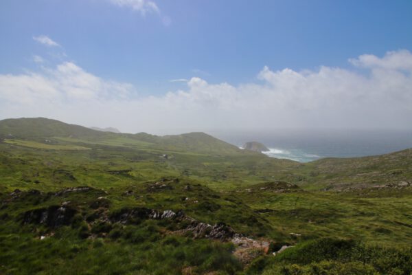 20220610170841_IMG_3136