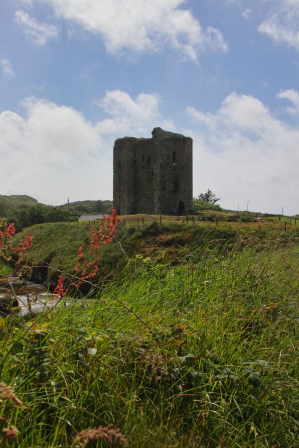 20220610172300_IMG_3141