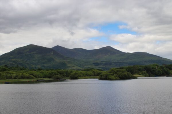 20220614124454_IMG_3635