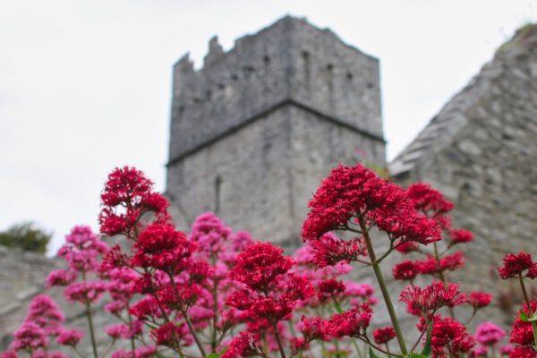 20220614142058_IMG_3638