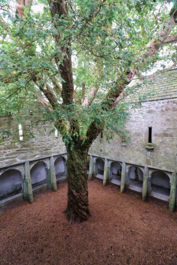 20220614143137_IMG_3663