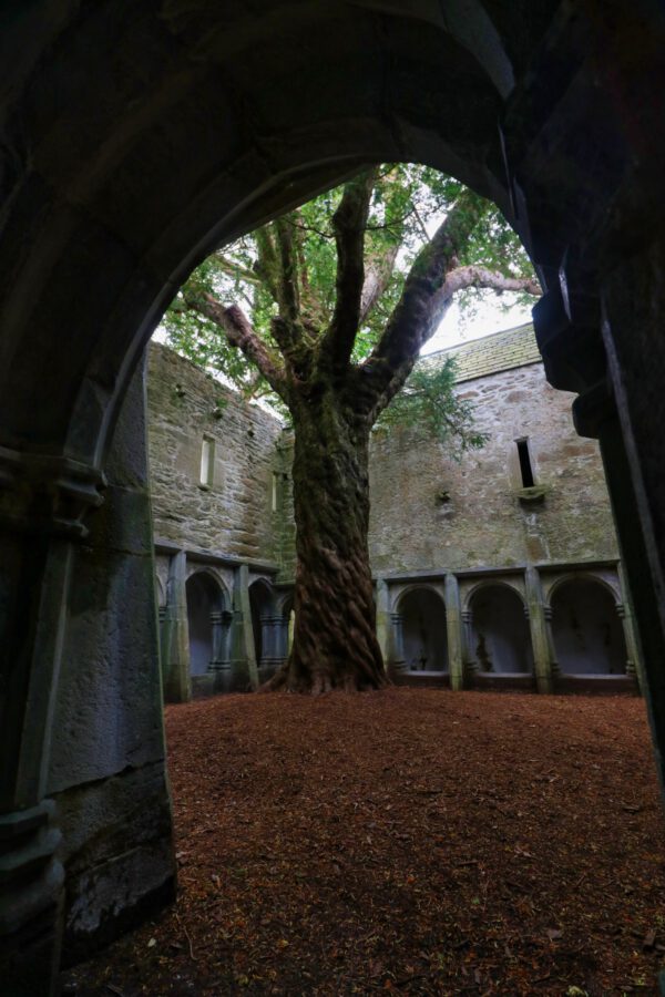 20220614143444_IMG_3666