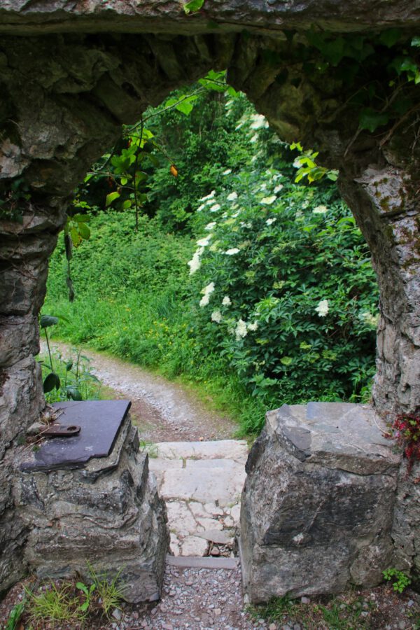 20220614143843_IMG_3675