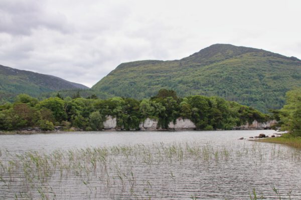 20220614154341_IMG_3685