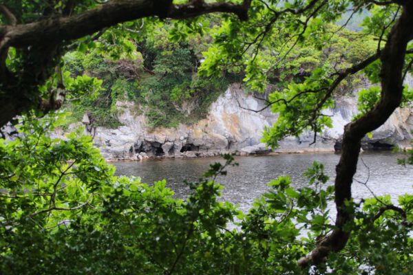 20220614154920_IMG_3686