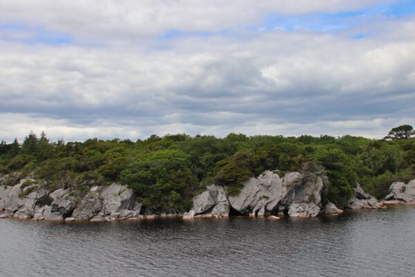 20220614155403_IMG_3688