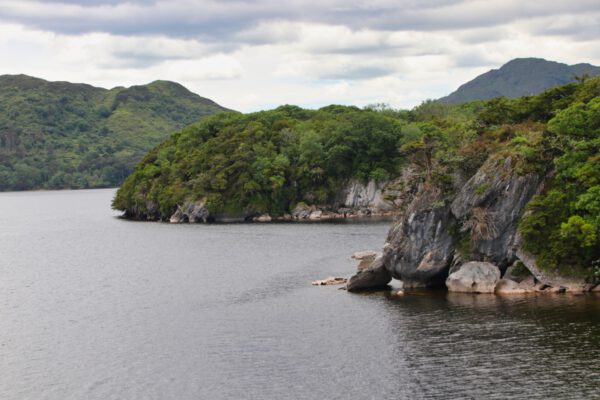 20220614160231_IMG_3690