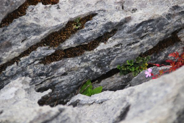 20220614160302_IMG_3693