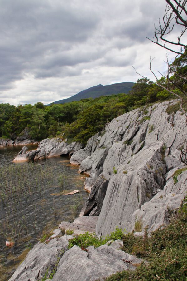 20220614160332_IMG_3694