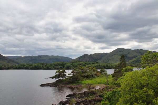 20220614165456_IMG_3696