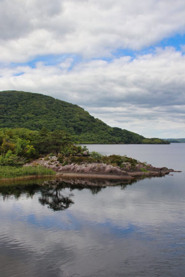 20220614165611_IMG_3699