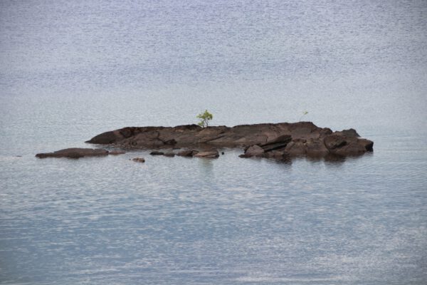 20220614165734_IMG_3702