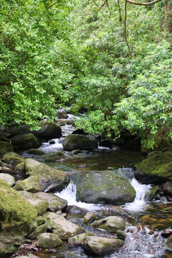 20220614182059_IMG_3705