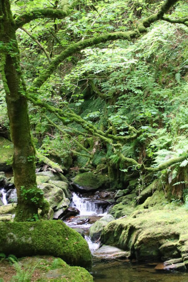 20220614182441_IMG_3706