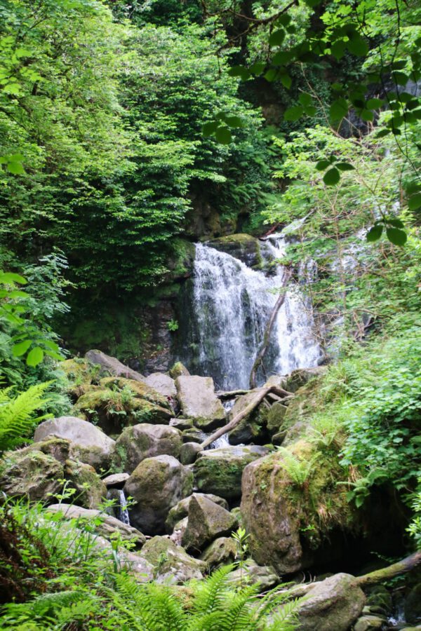 20220614182547_IMG_3708