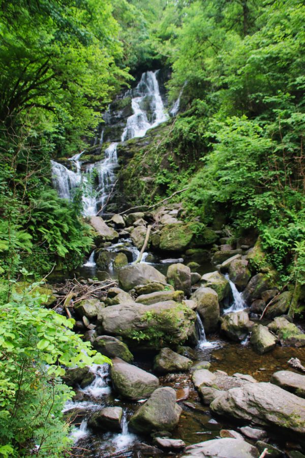 20220614182817_IMG_3725