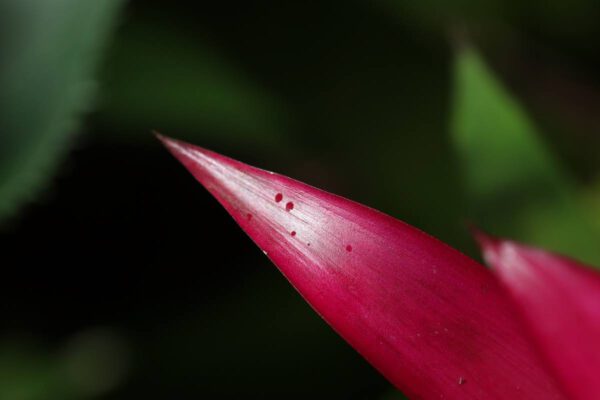 20180619122500_IMG_7803