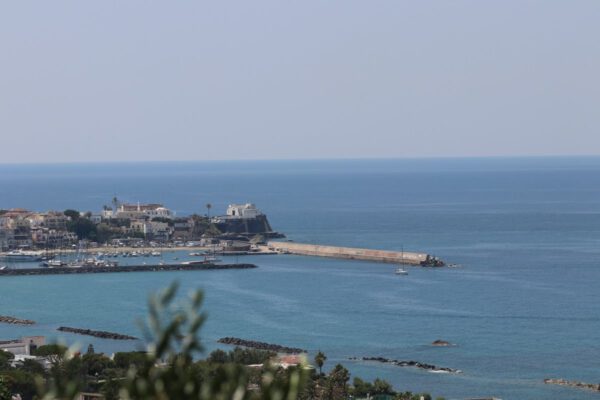 20180619123536_IMG_7811
