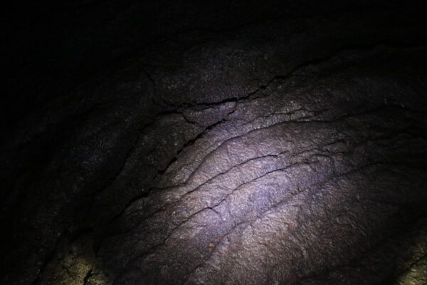 20211024140250_IMG_0210