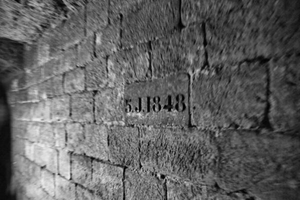 20230105191552_IMG_6695
