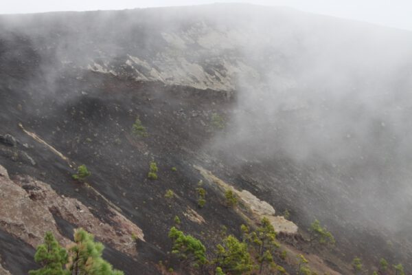La_Palma_0140_c_Svenja_Skeide