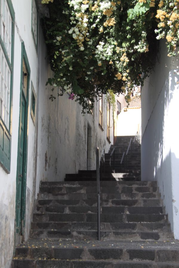 La_Palma_0195_c_Svenja_Skeide