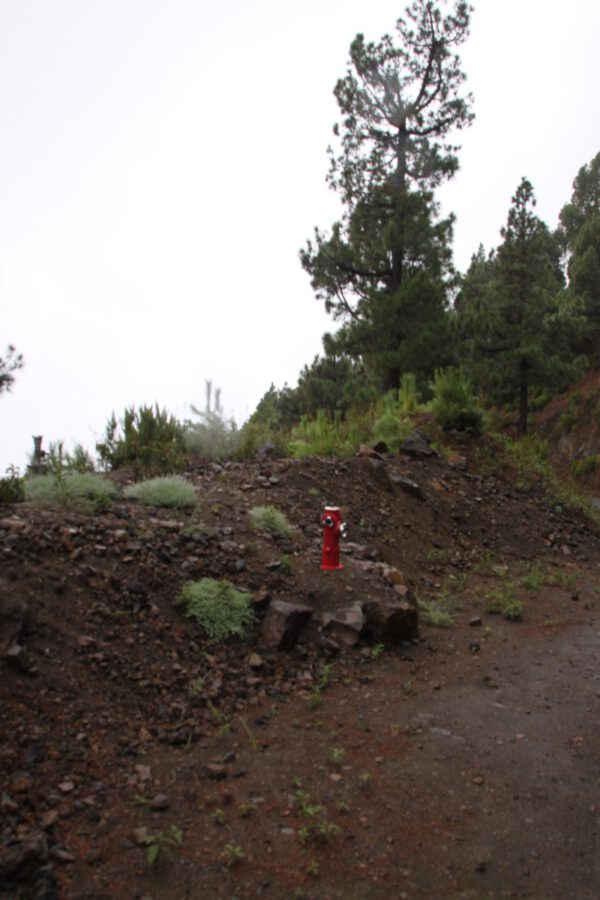 La_Palma_0215_c_Svenja_Skeide