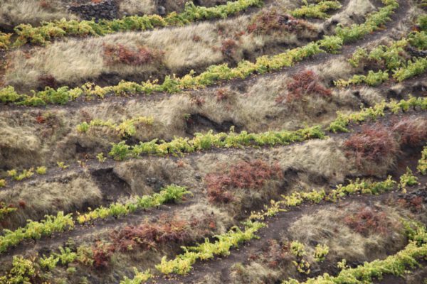 La_Palma_0222_c_Svenja_Skeide