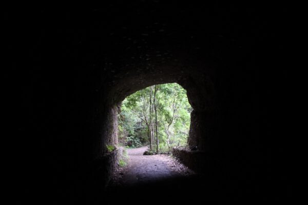 La_Palma_0418_c_Svenja_Skeide