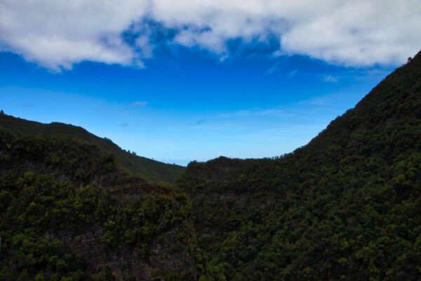 La_Palma_0452_c_Svenja_Skeide