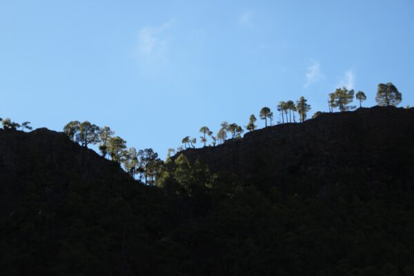 La_Palma_0677_c_Svenja_Skeide