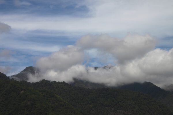 La_Palma_0686_c_Svenja_Skeide