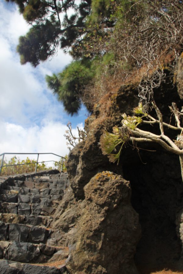 La_Palma_0707_c_Svenja_Skeide