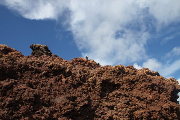 La_Palma_0767_c_Svenja_Skeide