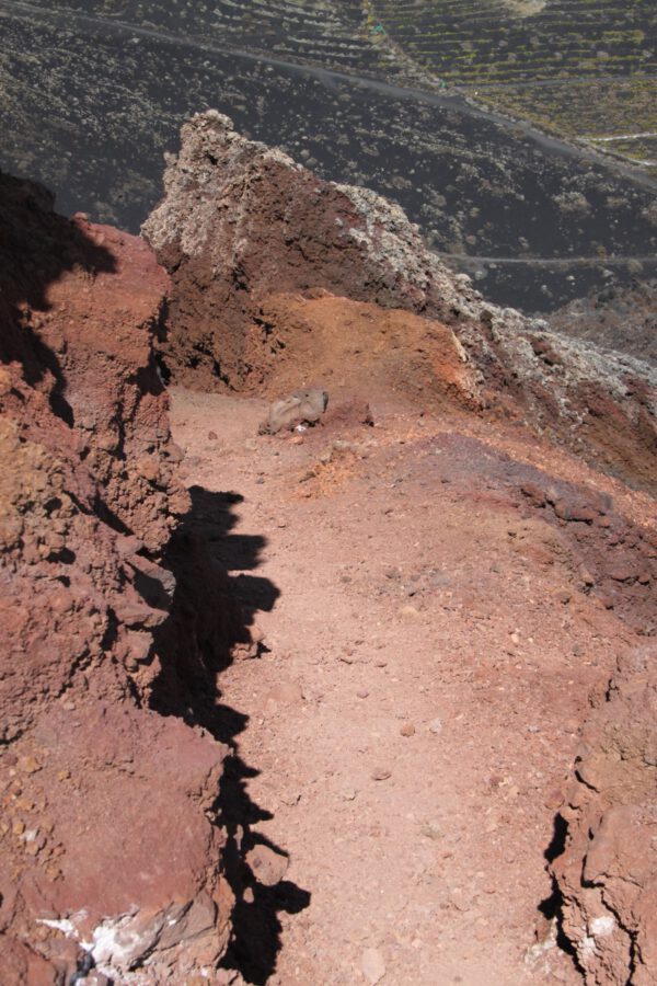 La_Palma_0780_c_Svenja_Skeide