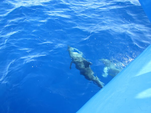 La_Palma_2013_050_c_Svenja_Skeide
