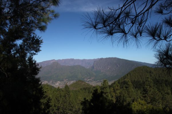 La_Palma_2013_230_c_Svenja_Skeide