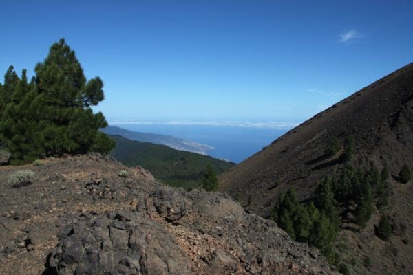 La_Palma_2013_243_c_Svenja_Skeide