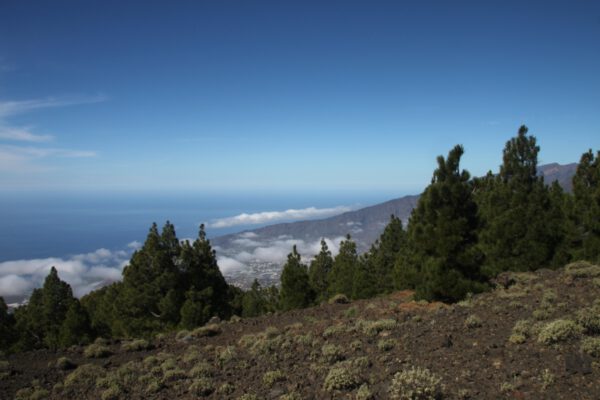 La_Palma_2013_245_c_Svenja_Skeide