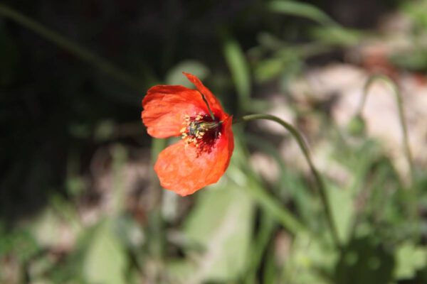 img_6679