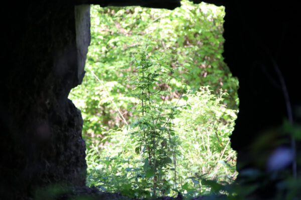 sieg-erlebnisweg-pulvermhlenweg_33959401824_o