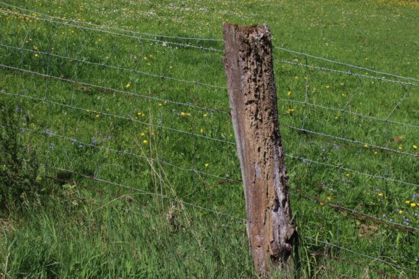sieg-erlebnisweg-pulvermhlenweg_34669722021_o